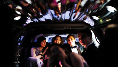 Concerts and Festivals