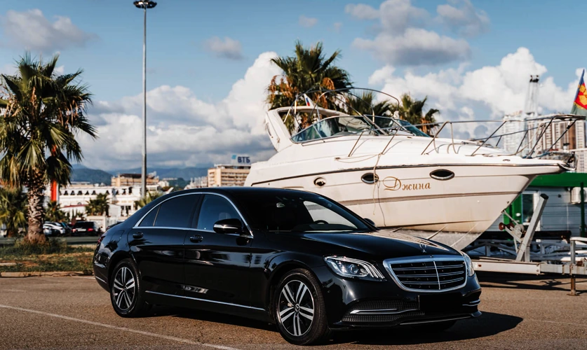 Chauffeur assisting with cruise luggage